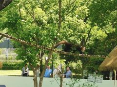 -合肥野生动物园