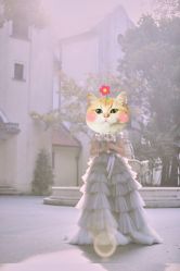 -汾阳花园酒店·宴会厅