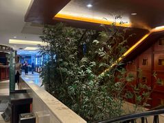 -老东吴食府(雅都店)