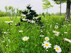 -江南大学(蠡湖校区)
