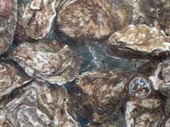-四海蒸鲜蒸汽海鲜自助(北戴河店)