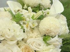 -金夫人婚纱摄影(江津店)