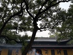 -普陀山风景名胜区-法雨禅寺