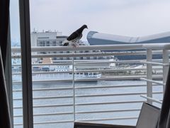 -神户美利坚公园东方大酒店