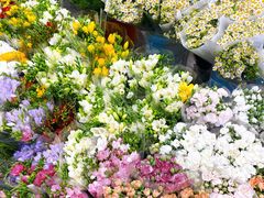 -双季花艺园艺市场(浦东店)