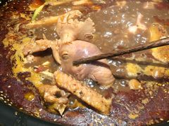 -红顶老汉烧鸡公羊蝎子火锅(学士街店)