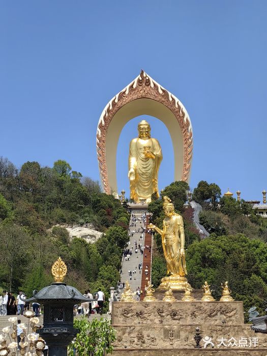 东林大佛图片