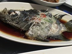 -碧丽宫大酒店(召稼楼店)