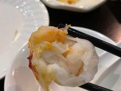 添运来虾饺皇-添运来(茶园奥园广场店)