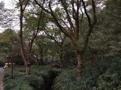 -法云安缦酒店