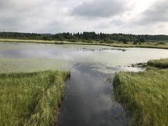 -塞罕坝国家级自然保护区