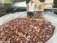 -长春农业博览园