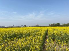 -汉长安城未央宫国家考古遗址公园