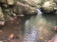 -清溪森林公园