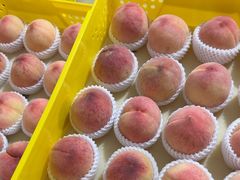 -老袁家蜜桃农场·阳山水蜜桃