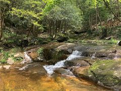 -燕子河大峡谷天坑仙境