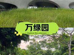 -万绿园