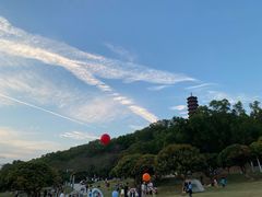 -红花山公园