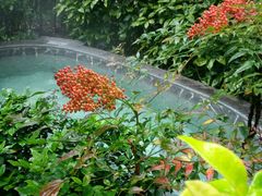 -黄山温泉国际旅游度假区