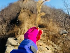 -龙云山风景区-鹿皮关长城