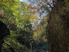 -五女峰国家森林公园