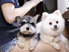 -零几体验diy皮具工作室(振业城店)