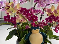 -蒙自源米线大王(江南西路店)