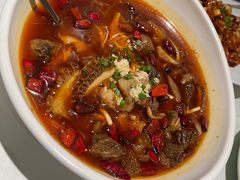 毛血牛肚-北平楼·烤鸭·北京菜(牡丹园店)