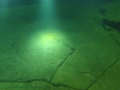 -白鹤梁水下博物馆
