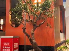 -左庭右院鲜牛肉火锅(苏州园区永旺店)