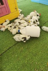 -萌宠亲子动物乐园(槐房万达店)