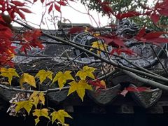 -常熟方塔园
