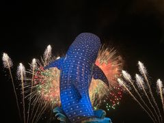 -珠海长隆海洋王国