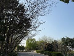 -乌村