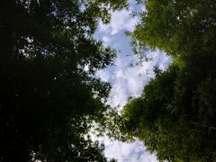 -蝴蝶泉公园