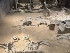 -洛阳周王城天子驾六博物馆