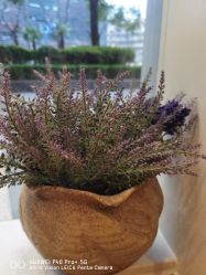 -娇玫荟SPA