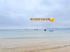 -养马岛旅游度假区