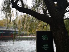 -百脉泉景区