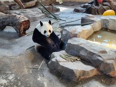 -宁波野生动物园
