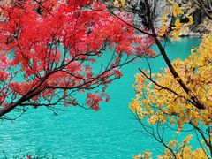 -叠溪松坪沟景区