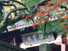 -灵隐飞来峰景区