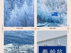 -秦岭风景区