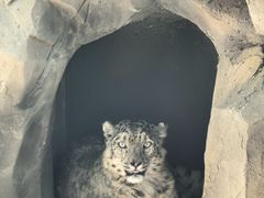 -青藏高原野生动物园