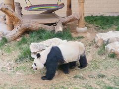 -石家庄市动物园