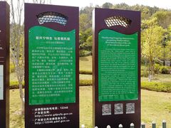 -神光山国家森林公园