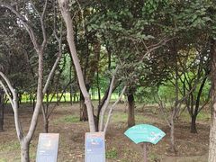 -绿堤公园