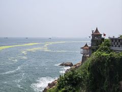-小麦岛公园