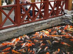 -顺德了能馆(虎门店)