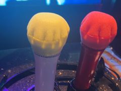 -温莎KTV(珠江路店)